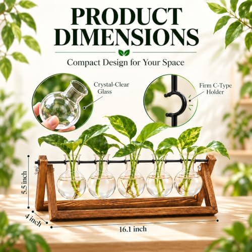 Plant Propagation Stations with Wooden Stand & 5 Glass Bulb Vases - Image 2