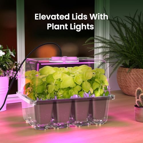 MIXC 6 Pack Seed Starter Kit with Grow Light, Humidity Dome, Transparent - Image 7