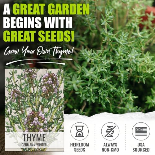 Seed Needs Thyme Seeds to Plant an Herb Garden - 5 Packs - Image 2