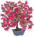 Briful Artificial Bougainvillea Tree in Blue Pot 18.5" Tall Faux Bougainvillea Floral Tree Tropical Silk Fake Flower Plant for Home Office Living Room Table Décor(Pink) by Briful
