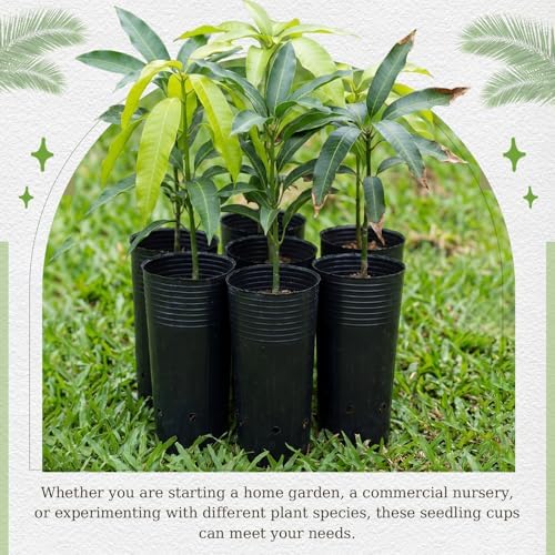 100 Pack Tall Tree Pot 9.8'' x 4.7'', Black Plastic Deep Nursery Pots, Soft Deep Seedling Pots for Seed Starting, Plant Starter Cups with Drainage Holes for Flowers, Cuttings Transplanting - Image 7