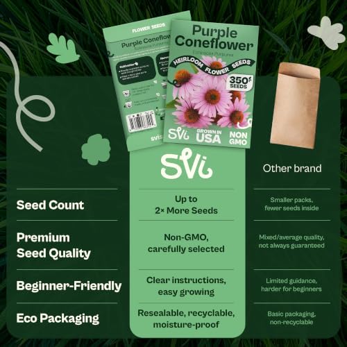 SVI 350 Purple Coneflower Seeds (Echinacea purpurea) – Purple Echinacea Herb Cone Flowers Seed Packets – Attracts Pollinators, Perennial Flower Seeds for Flower Garden & Outdoor Garden Bed - Image 6