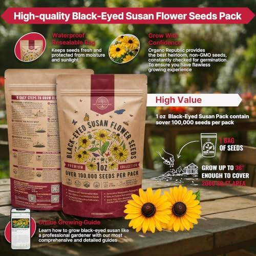 Black Eyed Susan Flower Seeds Pack 1 oz - Over 100,000 Rudbeckia Hirta Seeds Non-GMO Heirloom, Wildflowers in Individual Packet, Home & Garden Planting Indoor & Outdoor Gardening - Image 2