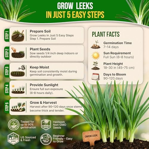 Organo Republic Onion Leek Seeds Pack 1G - Over 375 Non-GMO Heirloom Onion Seeds for Planting Vegetables in Individual Seed Packet, Vegetable Seeds for Planting Home Garden Indoor & Outdoor Gardening - Image 6