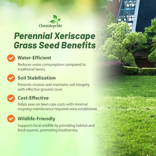 Outsidepride Xeriscape Native Prairie Grass Seed Mix – 25 lb. Perennial, Warm-Season, Cold & Drought-Tolerant, Fine Leaved, Dense Turf Grass Seeds for Lawn, Ground Cover & Arid Xeriscape Landscaping - Image 4