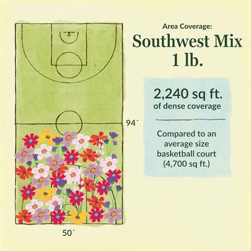 Ferry-Morse Southwest Bulk Wildflower Seeds, 390,000+, 1 lb - Image 6