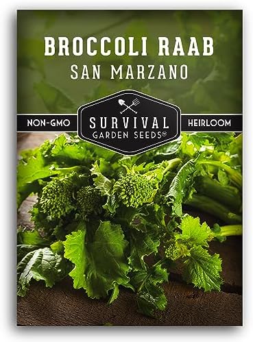 San Marzano Raab Broccoli Rabe Seeds for Planting (1 Pack) by SurvivalGardenSeeds