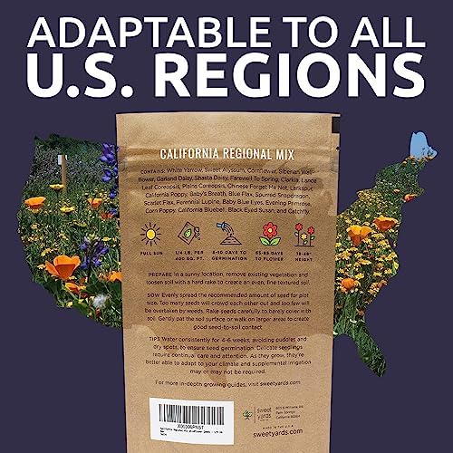 California Wildflower Mixture - Bulk 1/4 Pound Bag - Over 30,000 Native Seeds - Open Pollinated and Non GMO - Image 7