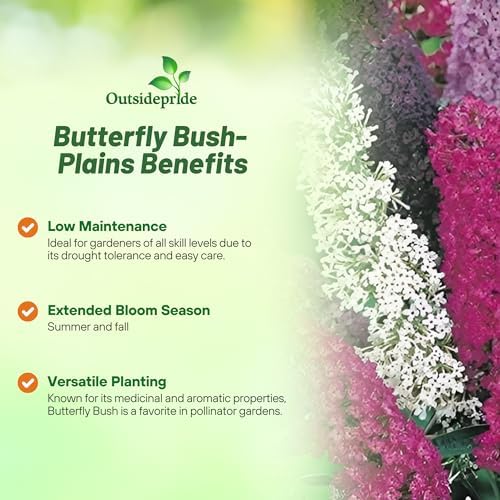 Outsidepride Butterfly Bush Mix Seeds - 100 Pcs. Perennial, Drought-Tolerant & Low Maintenance Flower Seeds for Planting Fast Growing & Aromatic, Tall Mixed Blooms, Great for Pollinator Gardens - Image 3