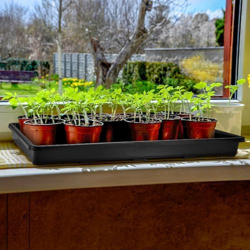 ZAVOOS 6 Pack Nursery Potting Trays with No Drain Holes - Image 5