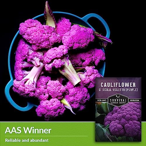 Purple Cauliflower Seeds for Planting, Violetto di Sicilia - 5 Packs - Image 4