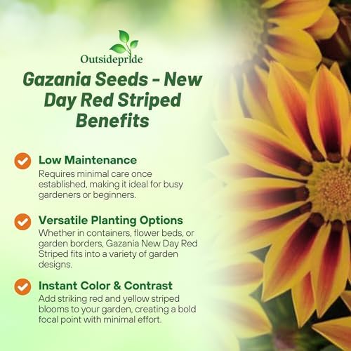 Outsidepride New Day Red Striped Gazania Seeds for Planting – 50 Pcs Perennial, Low-Maintenance, Drought-Tolerant Ground Cover Seeds for Vibrant Summer & Fall Flowers, Great for Outdoor Gardens - Image 3