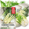 Seed Needs Florence Fennel Seeds to Plant an Herb Garden - 10 Packs by SeedNeeds