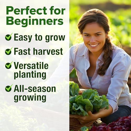 HOME GROWN Lettuce Seeds 5 Variety Mix 3950+ Bulk Pack (Lactuca Sativa) - Image 4