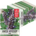 Seed Needs Anise Hyssop Seeds to Plant an Herb Garden - 20 Packs by SeedNeeds