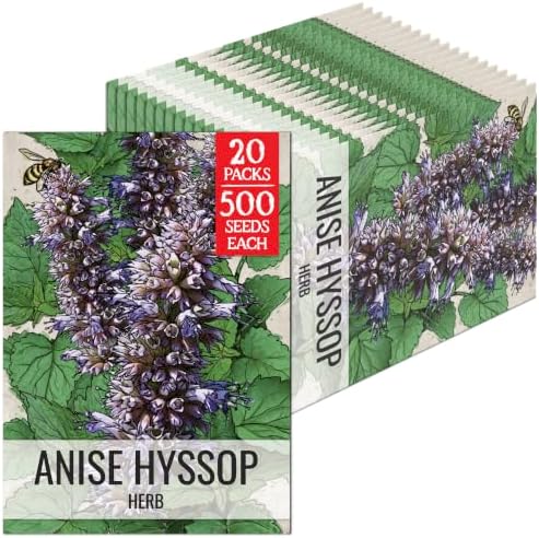 Seed Needs Anise Hyssop Seeds to Plant an Herb Garden - 20 Packs by SeedNeeds