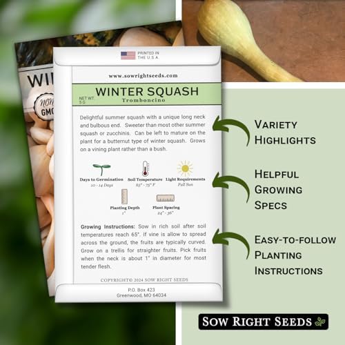 Sow Right Seeds - Rampicante Tromboncino Squash Seed for Planting Garden - Image 2
