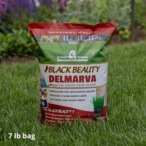 Jonathan Green Black Beauty Delmarva Grass Seed - 7 lb - Image 3