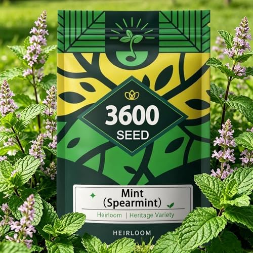 Mint Seeds for Planting, Heirloom Fragrant Culinary Herb Garden Seeds by Unknown
