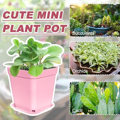 Anyumocz 70 PCS 3" Colorful Plastic Plant Pots,Plastic Square Nursery Pot,Seedling Nursery Pots with Saucers for Indoor Outdoor Plants,Garden,Flower,Home,Office,Balcony Decor - Image 4