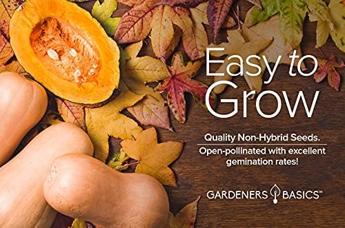 Gardeners Basics, Butternut Squash Seeds for Planting - Waltham Heirloom Non-GMO Winter Storage Vegetable Plant for Home Garden Vegetables Makes a Great Gift for Gardening - Image 4