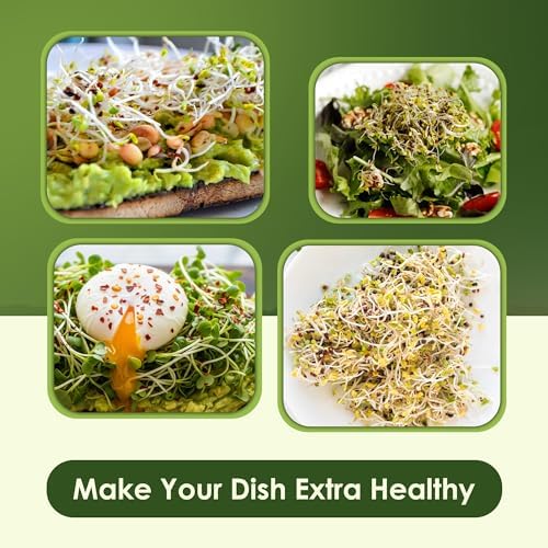 Nature Jims – Organic Broccoli (8oz) & Alfalfa (16oz) Sprouting Seeds, Non-GMO Microgreens for Indoor/Outdoor Gardening, Rich in Vitamins, Minerals & Nutrients Bundle - Image 5