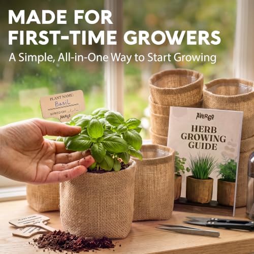 Indoor Herb Garden Kit, Herb Growing Kit for Kitchen and Windowsill - Image 3