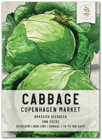 Seed Needs Copenhagen Market Cabbage Seeds to Plant Heirloom 1 Pack by SeedNeeds