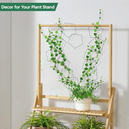 20pcs Chain Trellis for Climbing Plants Indoor, Metal Hexagonal Wall Plant Support Accessories for Vine Growth, Ivy, Pothos Live Plant Climber - Image 4