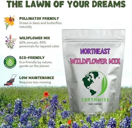 Earthwise Northeast Native Wildflower Seed Mix - 1/4 lb, 500 sq ft - Image 4