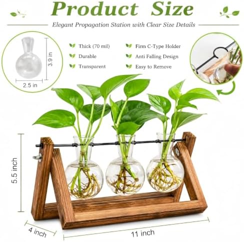 Plant Propagation Station, Plant Terrarium with Wooden Stand - Image 2