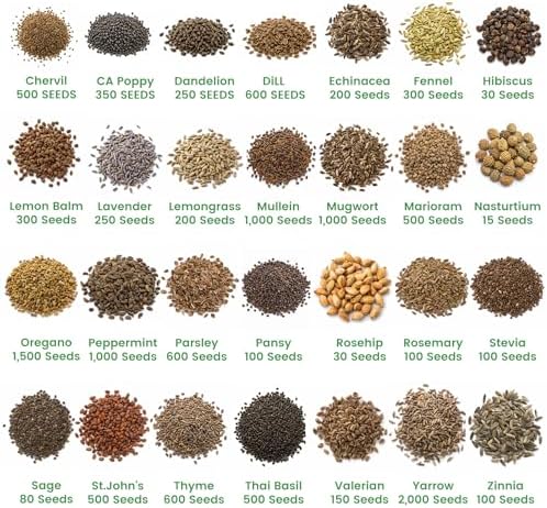 35 Herb Seeds Variety Pack, 16,400+ Non-GMO Heirloom Seeds for Planting - Image 5