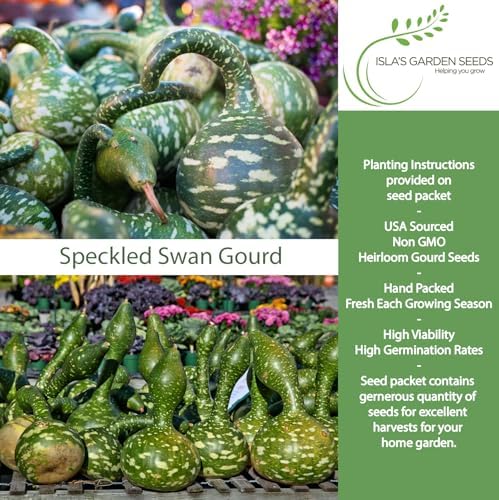 Speckled Swan Gourd Seeds (Lagenaria siceraria 'Speckled Swan') –15 Non-GMO Heirloom Seeds by Isla’s Garden Seeds, Unique Swan-Like Shape w/Decorative Speckles, Ideal for Crafts, Fall Displays & More - Image 2