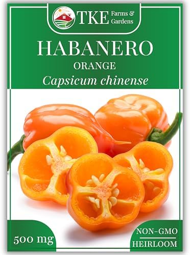 TKE Farms & Gardens - Orange Habanero Pepper Seeds for Planting, 100+ Heirloom Non-GMO Hot Chili Seeds, Fiery Flavor Perfect for Hot Sauce & Salsas, Capsicum chinense, 1 Packet by TKEFarmsGardens