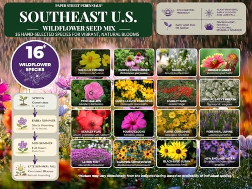 Arkansas Bulk Perennial and Annual Non-GMO Wildflower Seed Mix 1/2lb Covers 1,000sq-ft - Attract Pollinators, Multi-Color Blooms - Southeast US Species Plant in Spring/Fall (1/2 Pound) - Image 3