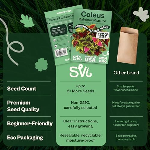 SVI 1200 Rainbow Coleus Seeds (Plectranthus Scutellarioides) - Painted Nettle Garden Seed Packets, Colorful Foliage Mix, Shade Tolerant - Annual Flower Seeds for Indoor & Outdoor Garden and Borders - Image 6