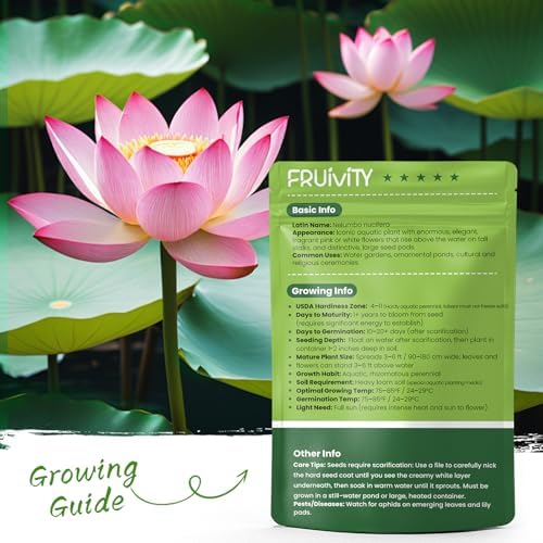30 PCS Lotus Seeds for Planting in Water - Mixed Color Bowl Lotus Seeds, Live Pond Plant Water Lily Seeds for Indoor Bonsai, Koi Pond, Outdoor Ponds & Garden - Image 3