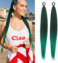 2 Pc Braid Ponytail Extension with Hair Tie Green Gradient Braid Extensions by LyoRuSi
