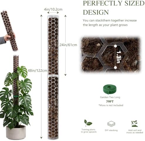 Plastic Moss Pole for Monstera and Climbing Plants (2 PACK-24Inch) - Image 6