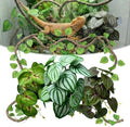 5 Pcs Reptile Plants & Habitat Decor Kit - Artificial Plants & Large 3.3ft Jungle Vine Branch, Artificial Leaves with Suction Cup Tank Decor Accessories for Crested Gecko, Lizard, Snake,Forg,Tortoise by FuntinshdyBrand