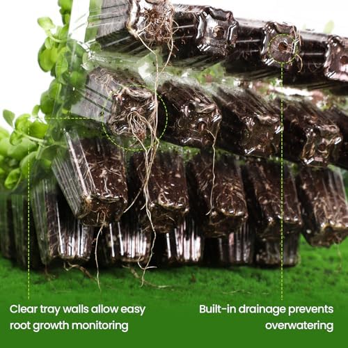 Bonviee Seed Starter Trays with Grow Lights, 80 Cells, 2 Pack - Image 5