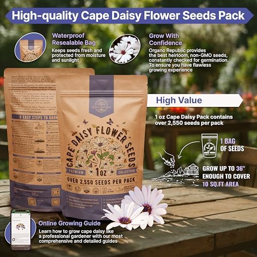 Cape Daisy Flower Seeds Pack 1 oz - Over 2,550 Non-GMO Heirloom Cape Daisy Seeds for Planting, Perennial Flowers in Individual Seed Packet, Seed for Planting Home Garden Indoor & Outdoor Gardening - Image 2