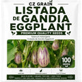Listada de Gandia Eggplant Seeds for Planting | 100 Seeds | Striped Fruit by CZGrain