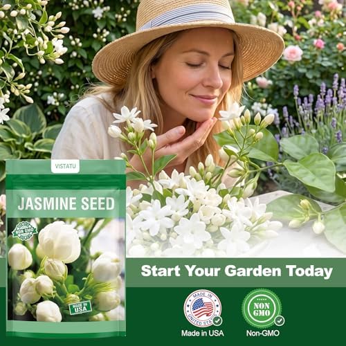 420+ Climbing Jasmine Flower Seeds Fragrant Plant for Planting Garden Home Four Seasons Evergreen Silver Jasmine Garden Balcony Climbing Flower Non-GMO - Image 4