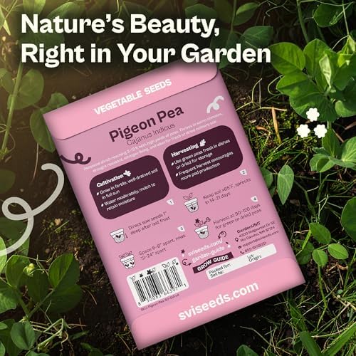 SVI 50 Gandules Pigeon Peas Seeds (Cajanus indicus) - Gungo peas, Congo Pea, Drought Resistant & Nitrogen-Fixing, Open-Pollinated - Heirloom Vegetable Seeds for Outdoor Garden, Raised Beds - Image 2