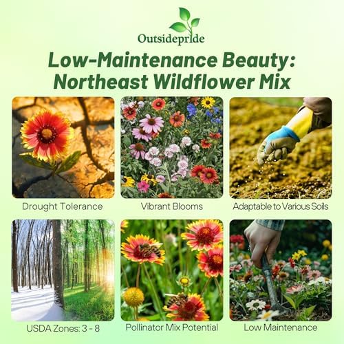 Outsidepride Northeast Wild Flower Seed Mix - 5 lbs Premium Blend of Vibrant Biennial & Annual Wildflower Seeds for Northeastern States, Ideal for Meadows, Borders & Gardens, & Attracting Pollinators - Image 3