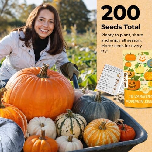 200+ Pumpkin Seeds for Planting, 10 Variety Heirloom Vegetable Seed - Image 6