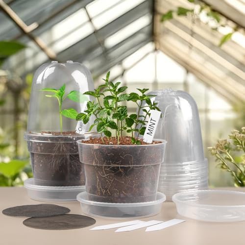 BTPLASTIK 6 Inch Clear Nursery Pots with Humidity Domes 15 Pack, Transparent Plastic Plant Pot with Drainage Holes and Saucers, Seed Starter Pots with 15 Pcs Plant Labels and 15 Pcs Soil Screens - Image 6