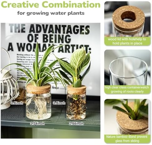 Glass Propagation Stations for Plants -Desktop Flower Vases,Propagation Flower Vases Set – 2 Large & 2 Small for Plant Cuttings，for Living Room, Bedroom Decoration,Home,Office Decor (4) - Image 2