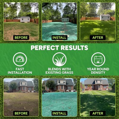 Growtrax PRO-Lawn 3-in1 Rio Bermuda Mix Grass Seed Roll Mat - 500 Sq Ft - Image 7